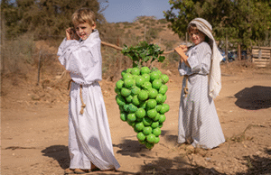 תחפושת ל"מרגלים" עם האשכול