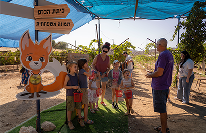 סככת הפעילות בכניסה לכרם